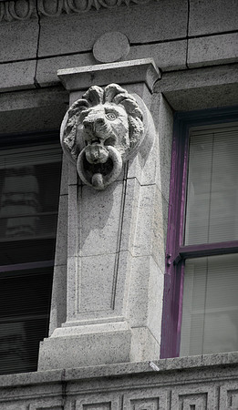 Lion's Eye