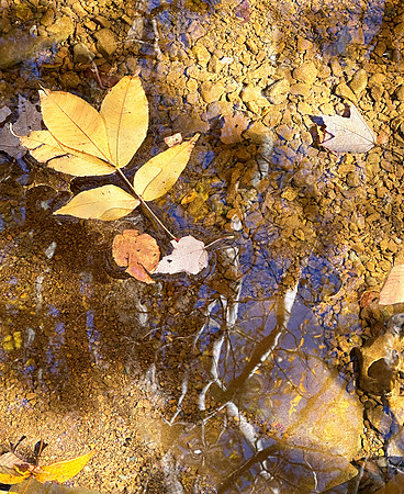 Reflections