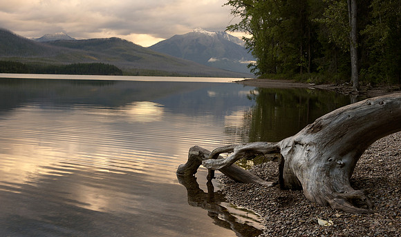 Ripples