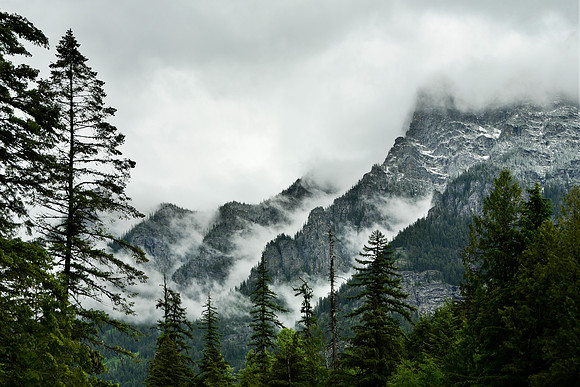 Mist on the mountain