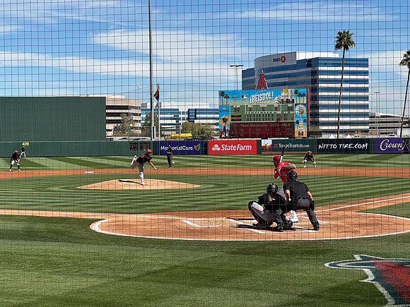 Spring Training