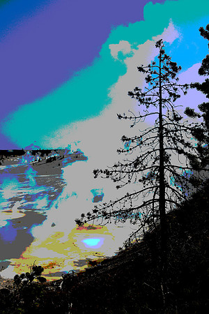 Yellowstone Lone Tree