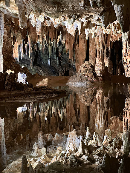Mirror refelection