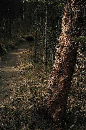 A path