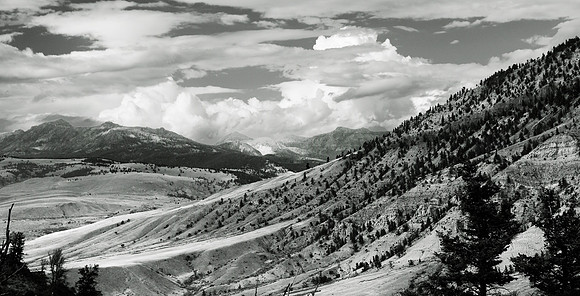 Black and White Valley II