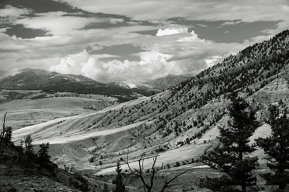 Black and White Valley