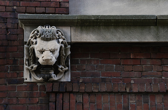 Peoria Lion