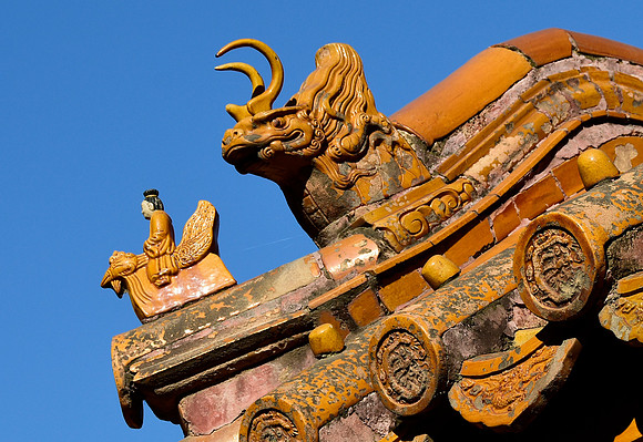 Riding the chicken II