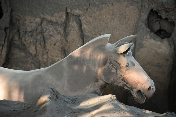 Terra Cotta Horse