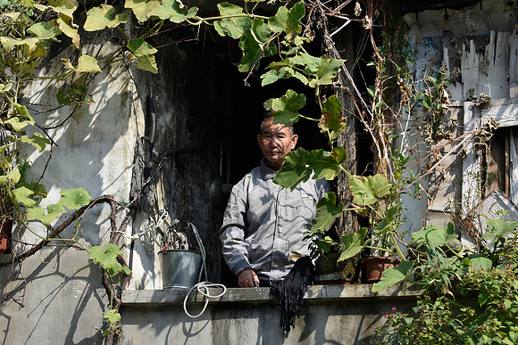 The Observer