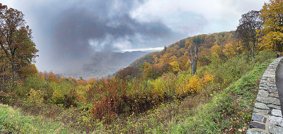 Mountain Mist