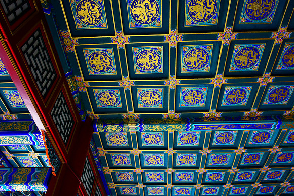 Ceiling Dragons