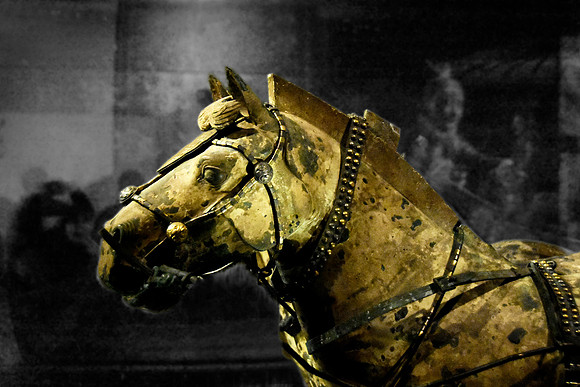 Chariot Horse
