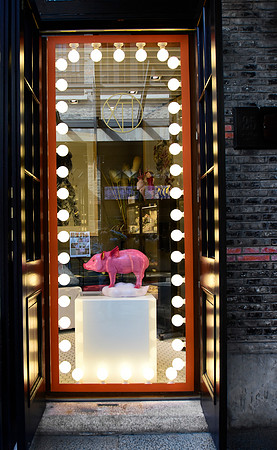 Flying Pig