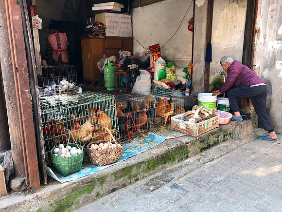 Market Fresh chicken
