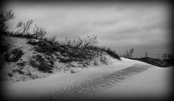 Indiana Dunes III