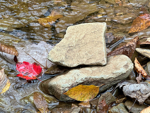 Shapes and designs of Shenandoah