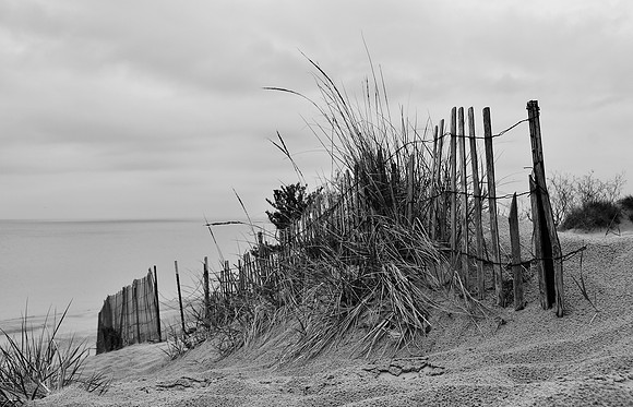 Indiana Dunes II
