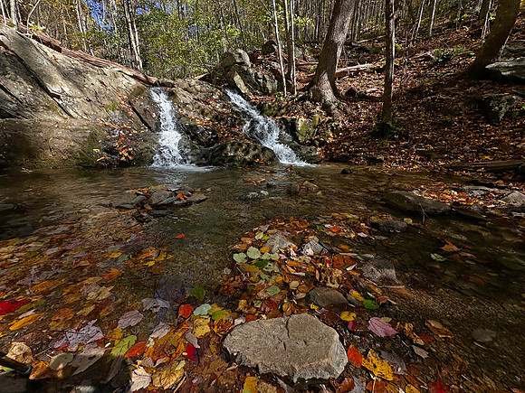 Stepping Stone