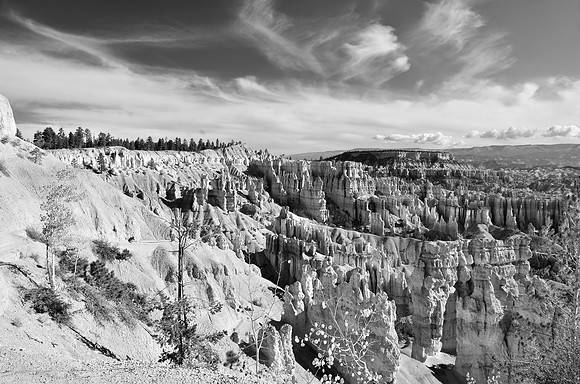 Hoodoos 231fix
