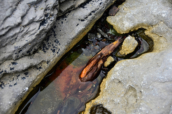 Natural design