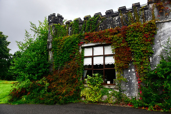 Newpark House castle