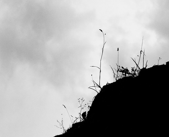 The Ridge