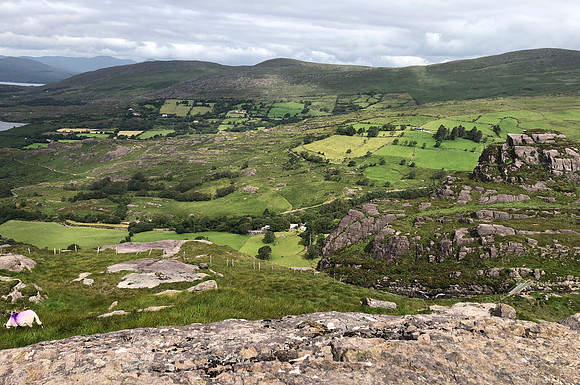 Glen III