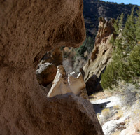 Nature's Window