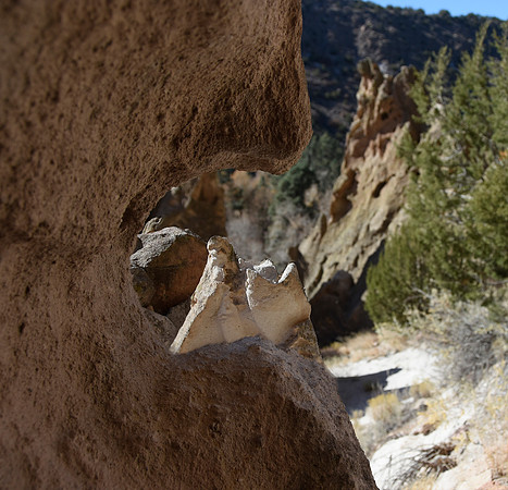 Nature's Window