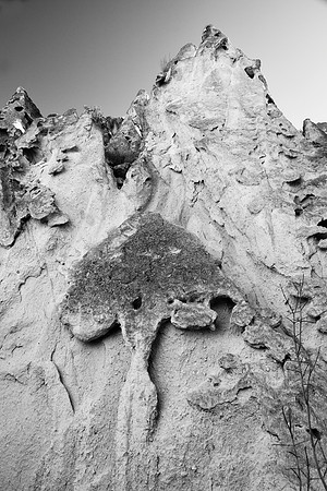 Stone Carvings