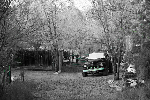 The Green Bumper