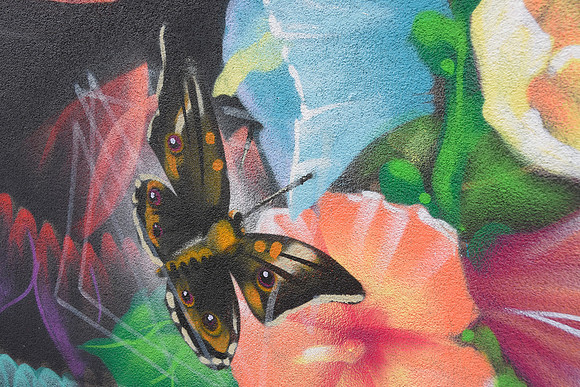 Santa Fe Butterfly 2