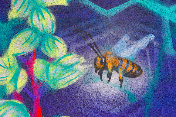 Santa Fe Bee
