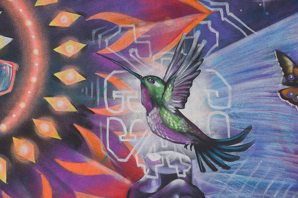 Santa Fe Humming bird