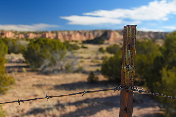 Barb wire