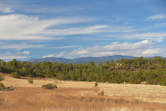 New Mexico Layers