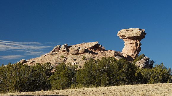 Turtle Rock 2