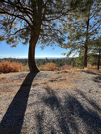 Tree Shadow at pulloff