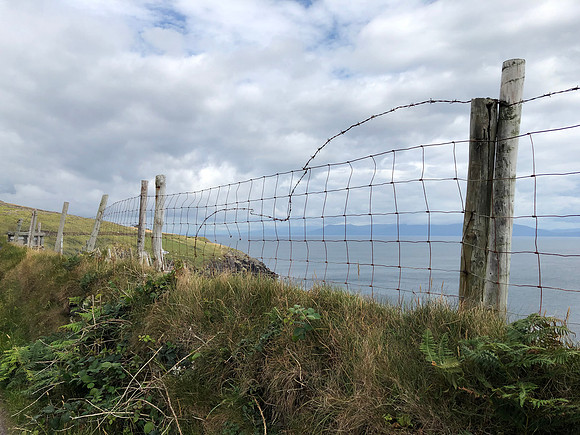 Fence