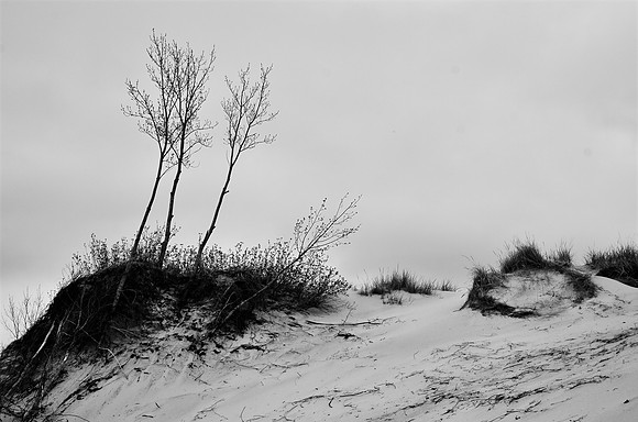 The Edge