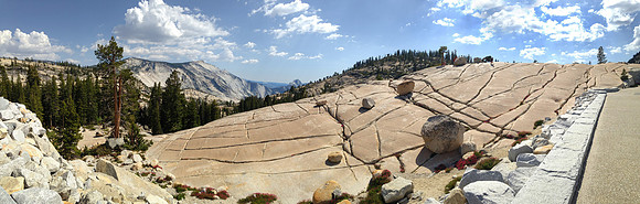 Olmsted Point