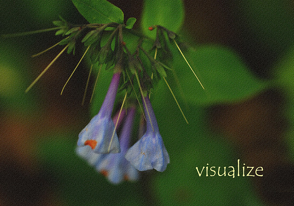 Visualize