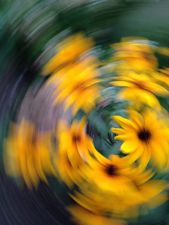 Spinning the flower