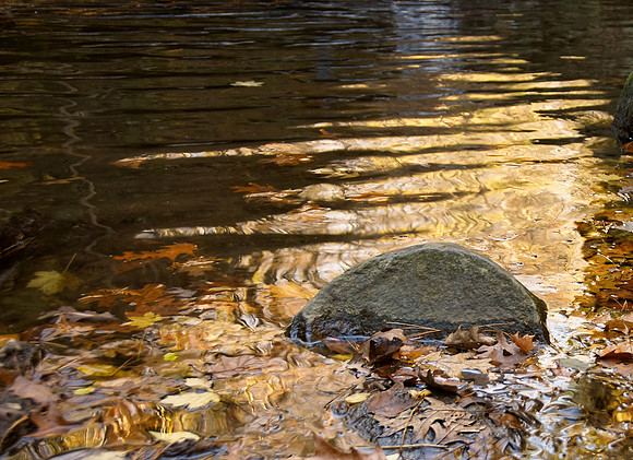 Golden River