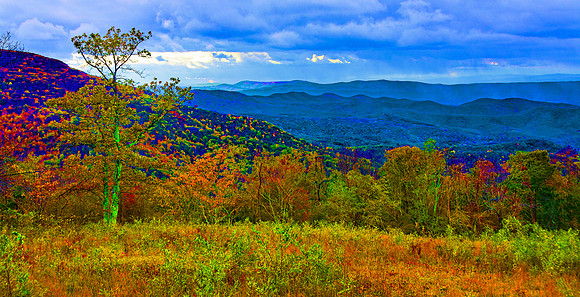 Psychedelic Fall