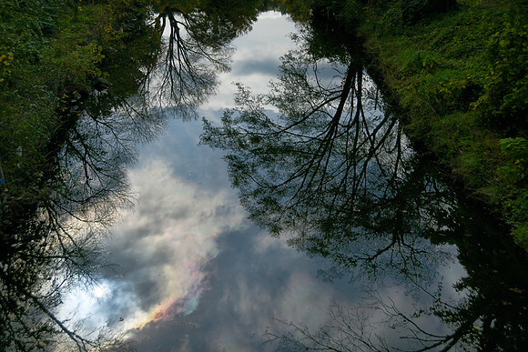 Dry Run Creek in the Fall