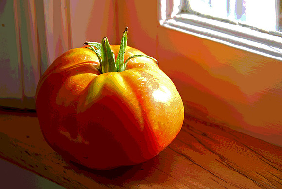Tomato