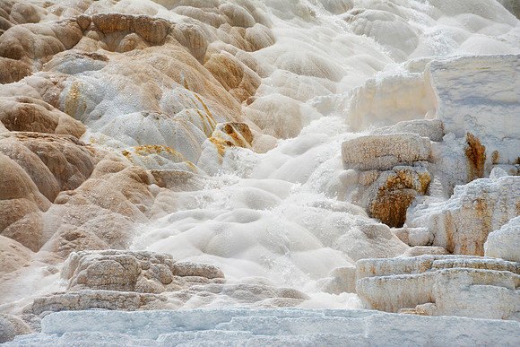 Yellowstone marshmellows