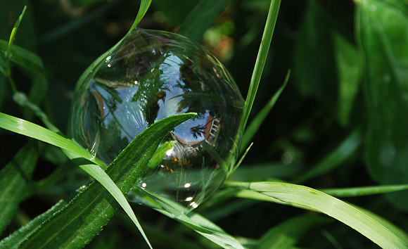 Bubble and reflections